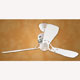 Ventilateur plafond