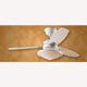 Ventilateur plafond