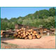 Bois d'ébénisterie