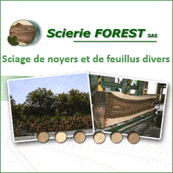 SCIERIE FOREST