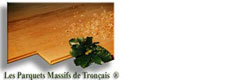Logo PARQUETS MASSIFS DE TRONCAIS