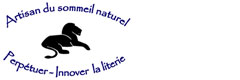 Logo LITERIE BRISSAY CHATRE