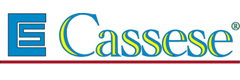 Logo CASSESE